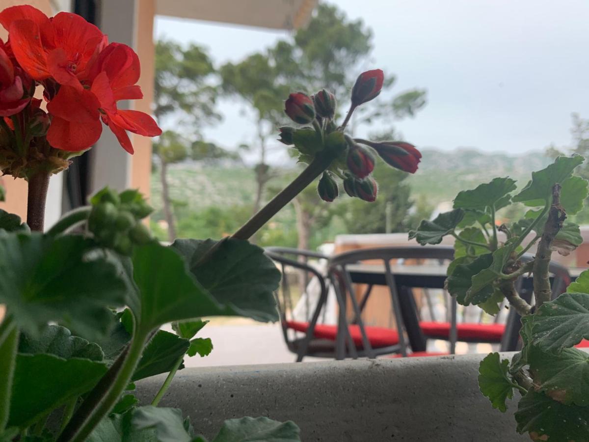Apartmani Spomenka Seline ภายนอก รูปภาพ