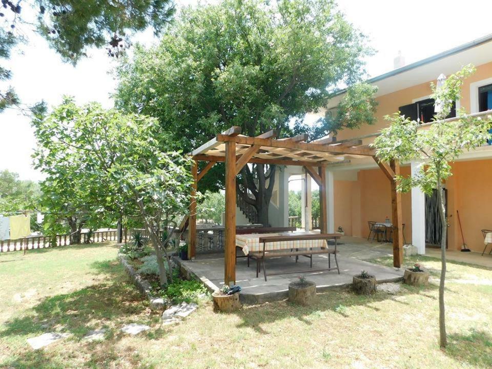 Apartmani Spomenka Seline ภายนอก รูปภาพ
