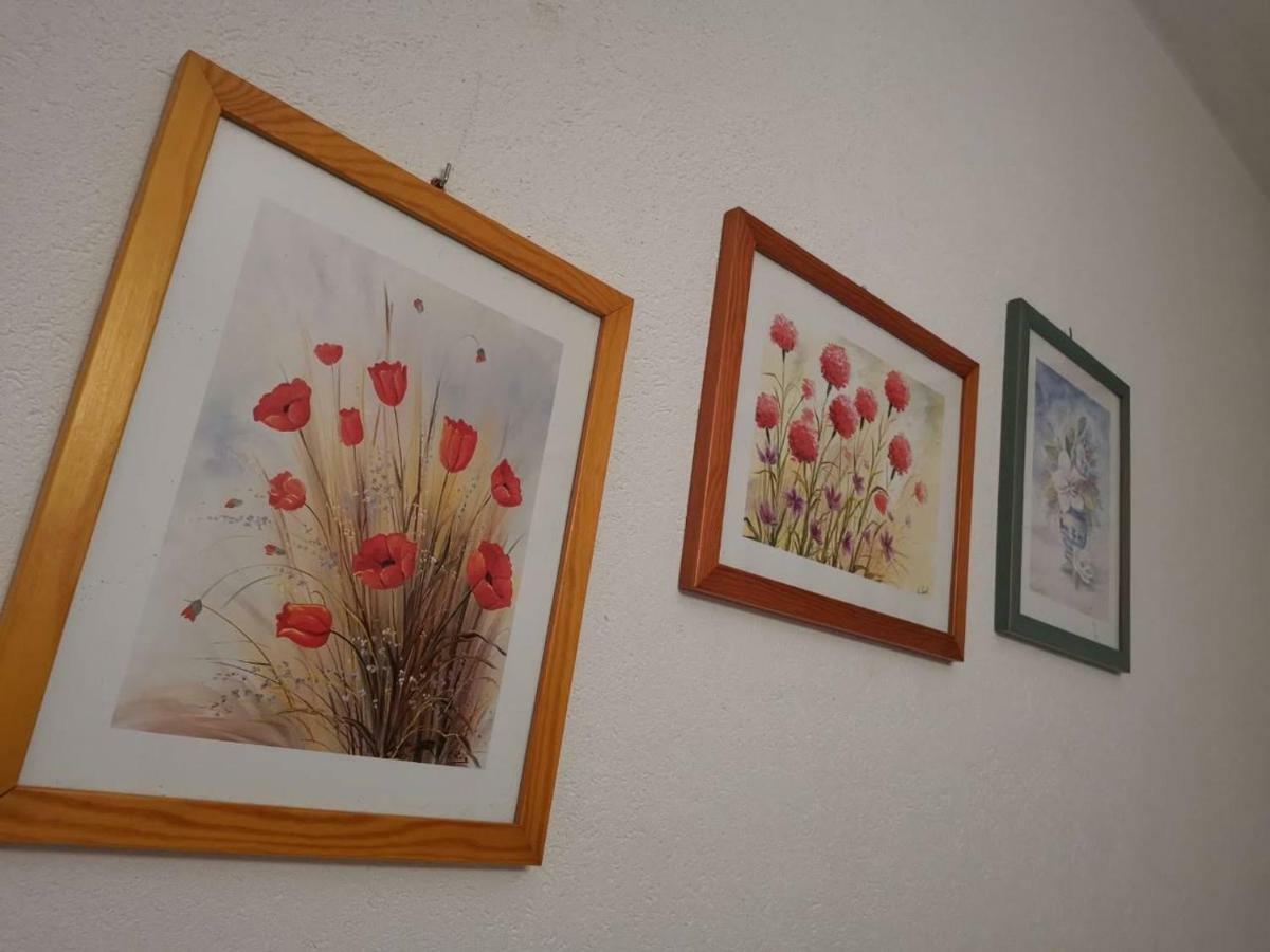 Apartmani Spomenka Seline ภายนอก รูปภาพ